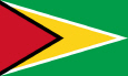 גיאנה דגל לאומי